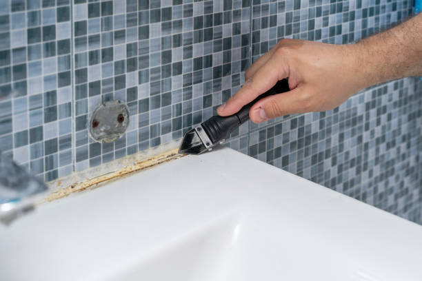 Best Post-Flood Mold Remediation in Ainsworth, NE